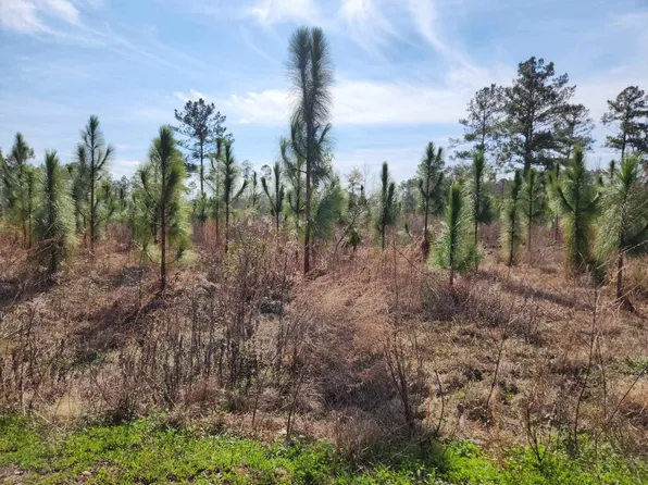 NW Azalea St Lot 4, Bristol, FL 32321