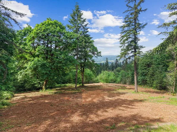 18755 NE Buena Vista Dr, Dundee, OR 97115