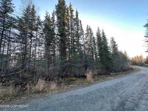 L5 Shadura Rd, Kasilof, AK 99610
