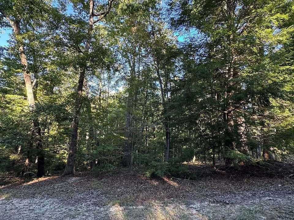 2nd image of 0 Turkey Ridge Rd Lot 49