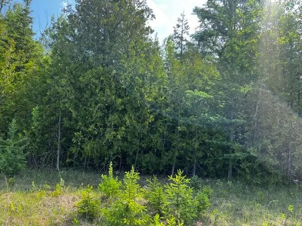 LOT 14 E Grand Lake Rd, Presque Isle, MI 49777