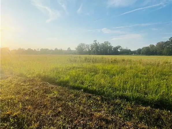 TRACT 2R D Hwy #445, Loranger, LA 70446