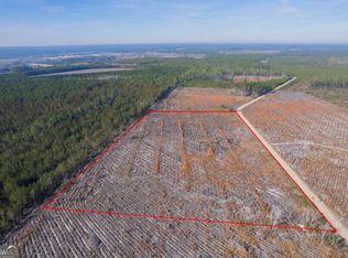 TRACT 5 Morris Break Rd, Odum, GA 31555