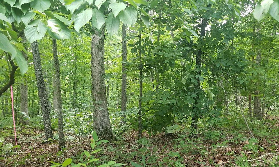 2nd image of 321 Dixie Ln