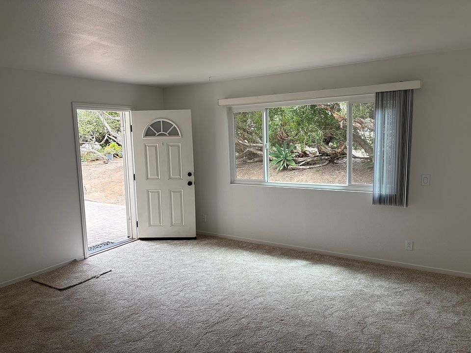 Living room with new carpet.