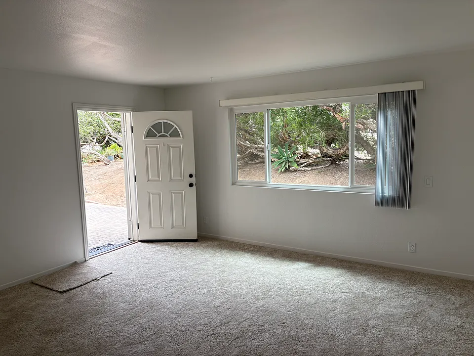 Living room with new carpet.