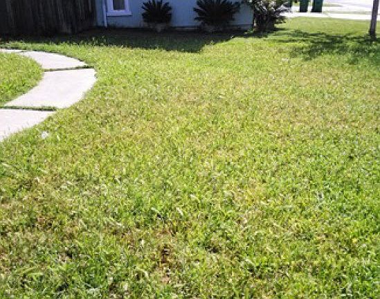 3rd image of 8338 Cherbourg Way