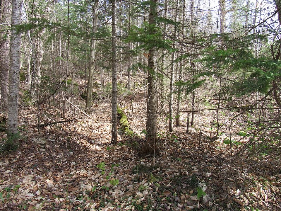 0 Okara Rd W, Thendara, NY 13472 Zillow