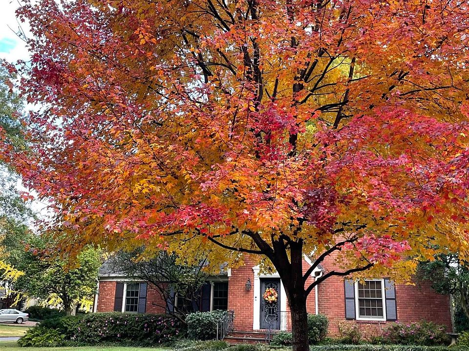 1st image of 2872 Natchez Ln