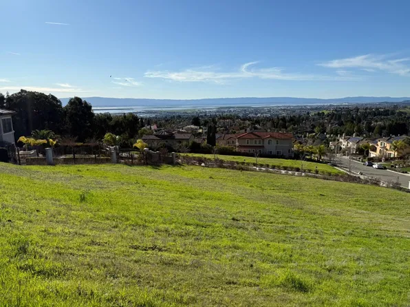 44533 Vista Grande Ct, Fremont, CA 94539