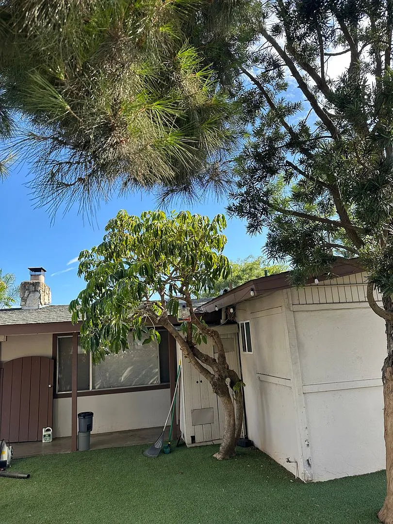 Ranch style 3BR/2BA pet friendly home w/ large yards, solar, updated kitchen and fruit trees — Photo 2