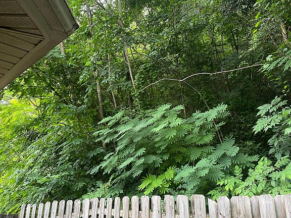 5th image of 108 Hayesbury Ln #108