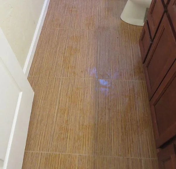 920 Gregory Pl — Photo 11