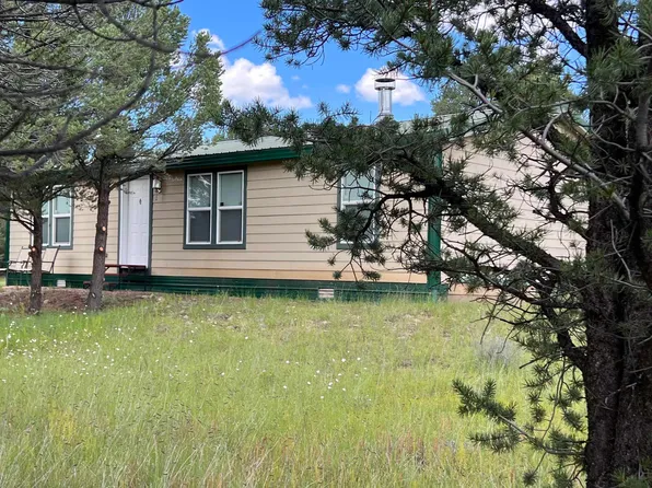 131 Largo Canyon Loop, Quemado, NM 87829