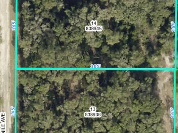 0 Nile Ave, Webster, FL 33597