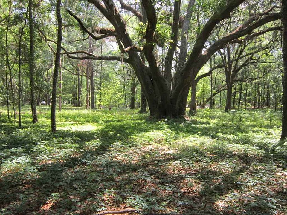 1st image of Pisgah Ln