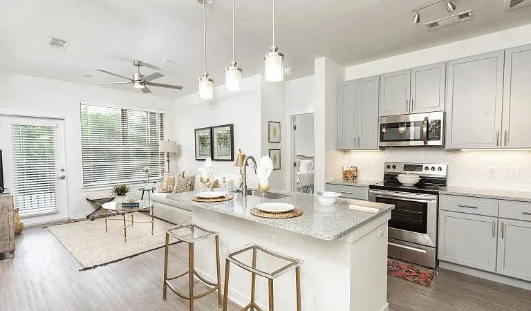 Open-concept kitchen and living room