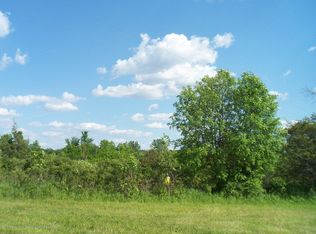 0 E Hyde Rd, Saint Johns, MI 48879