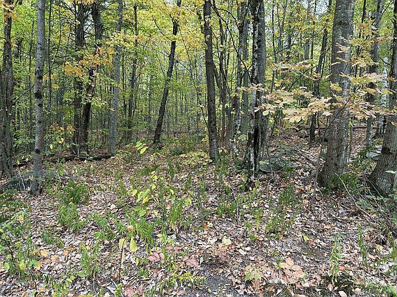 2nd image of 0 Crane Mt Road Lot # 2