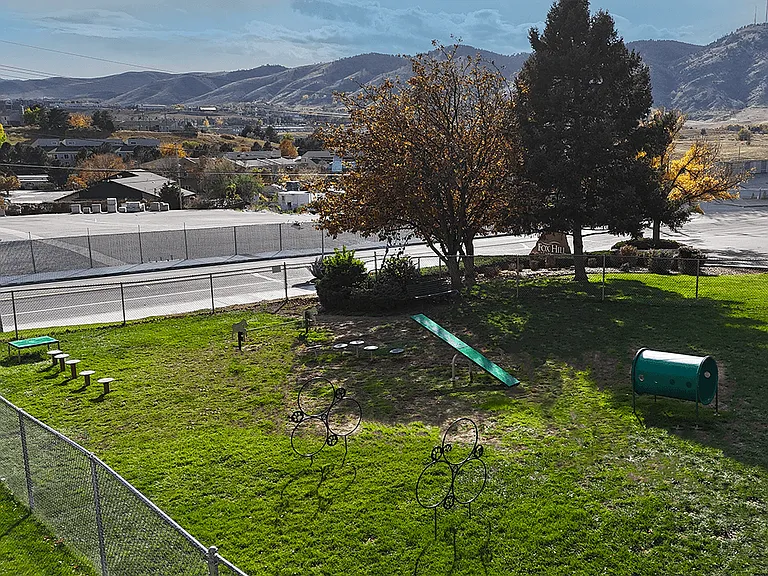 Enclosed Dog Park