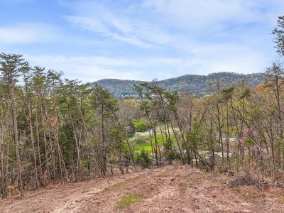 9 Reed Bull Rd, New Market, TN, 37820