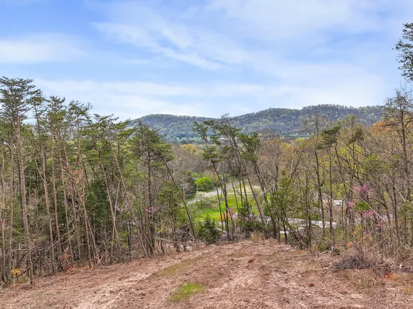 9 Reed Bull Rd, New Market, TN 37820