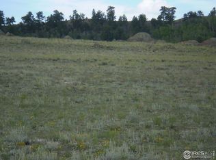 599 Black Hawk Rd, Hartsel, CO 80449