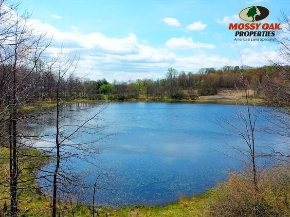 709 Scullton Rd, Rockwood, PA 15557