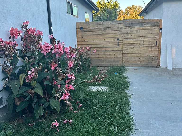 Magnolia Ave — Photo 31