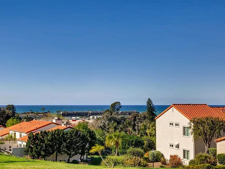 View from the patio and living areas