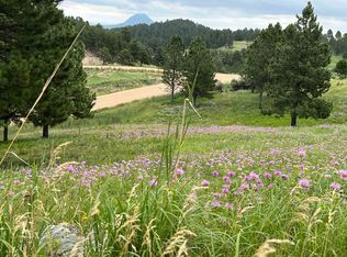 30 Summit Pass, Whitewood, SD 57793