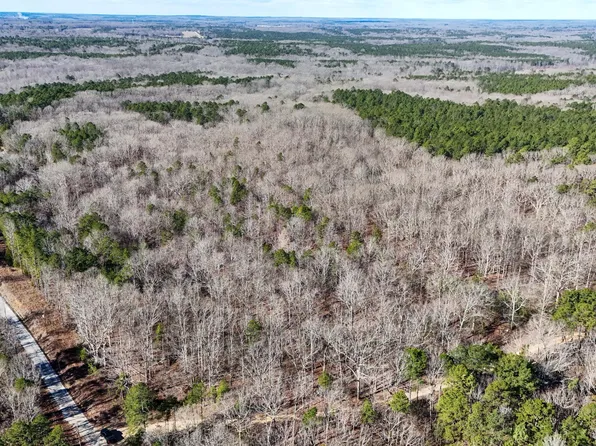 0 Tall Pines Rd, Ashland, MS 38603