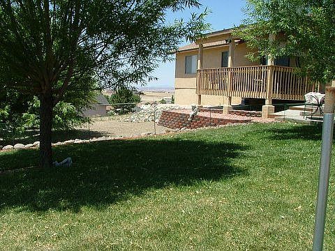 back yard