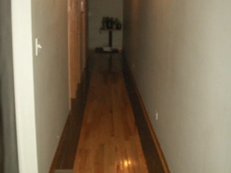 2836 N Damen Ave #2 — Photo 16