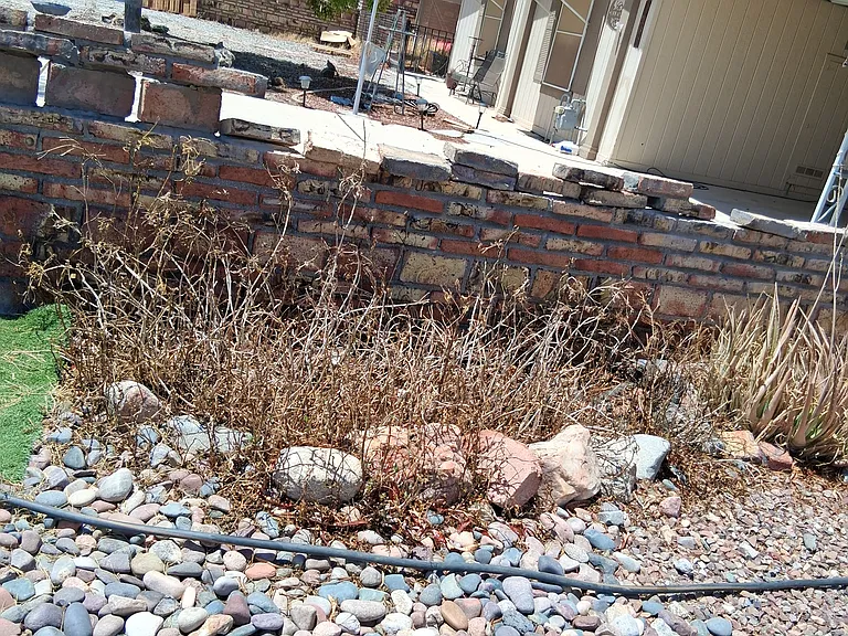 12652 E 35th Pl — Photo 3