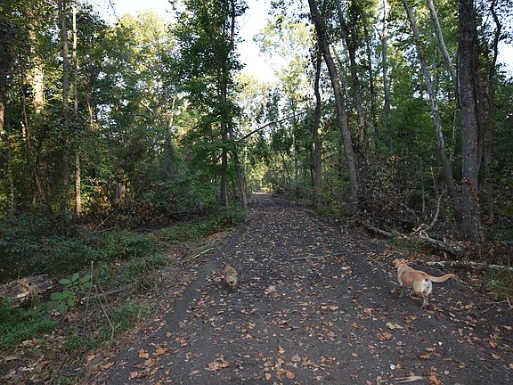 5th image of 0 S Meridian Rd