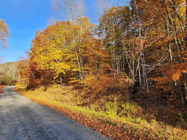 2-62 Goshawk Road, Plymouth, VT 05056