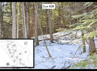 20 CARRIAGE Road, Chestertown, NY 12817