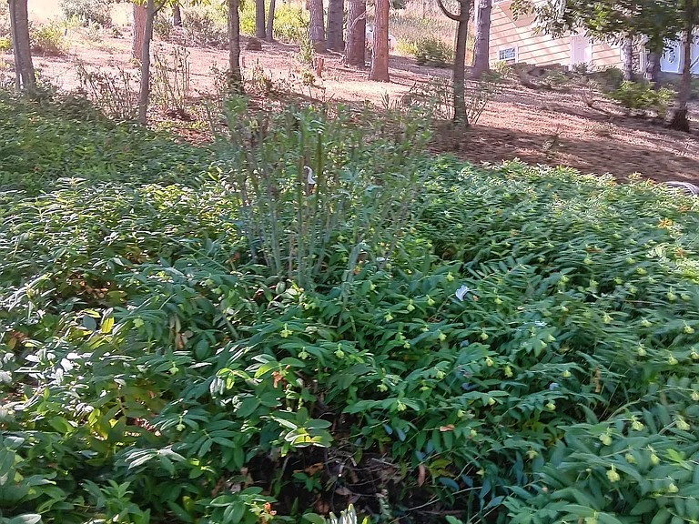 Edgewood Dr — Photo 12