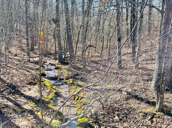 (undisclosed Address), Marshall, AR 72650