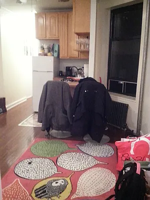 Rented by High Line NYC Realty Group | media 23