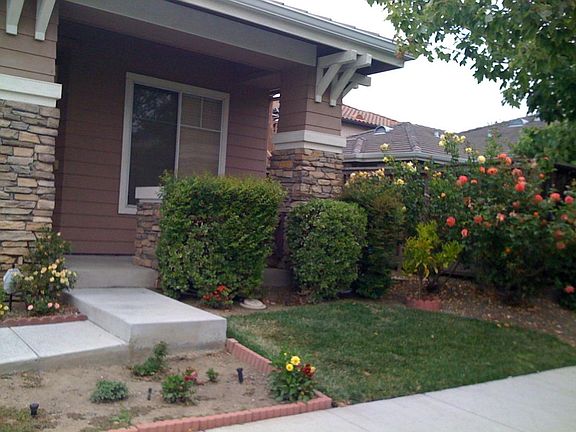 Front yard with Fruit tree and flowers