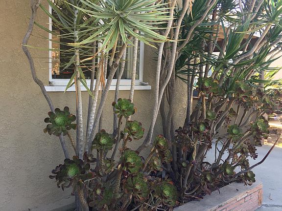 Front door adjacent Car