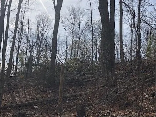 0 Marshall Ridge Rd #78, Hendersonville, NC 28792