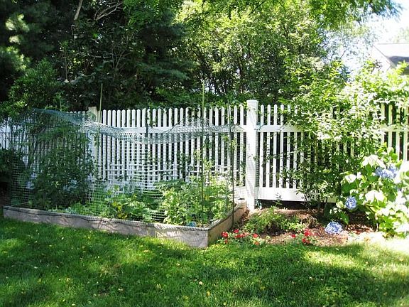 Vegetable Garden