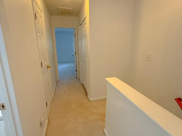 4823 Black Mountain Path — Photo 11