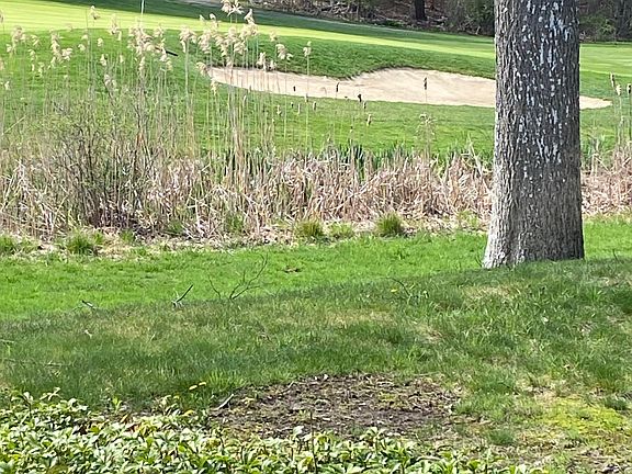 Golf course view from living room, kitchen, patio.