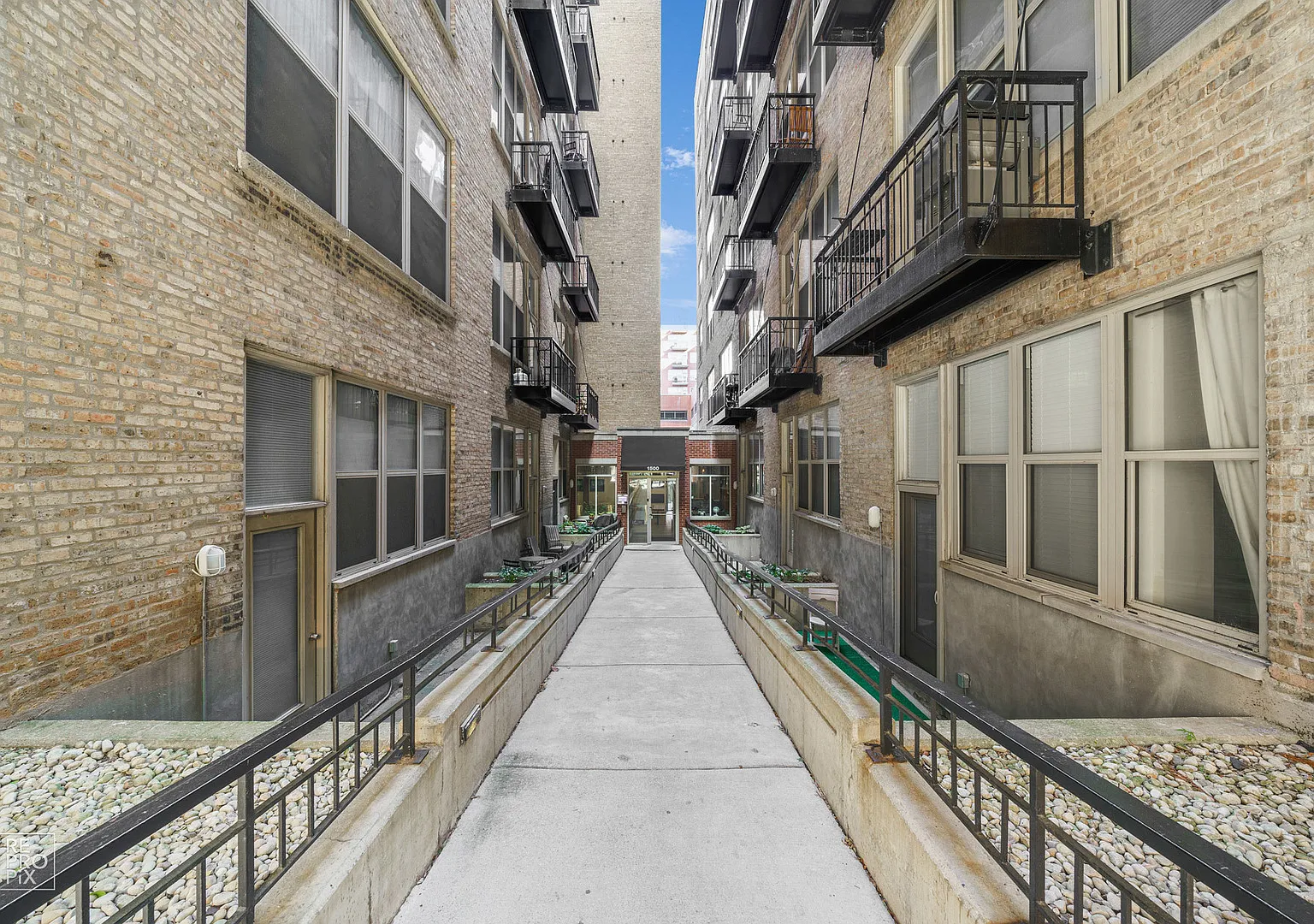 2 bed, 1000 sqft, $2,600 — Photo 2