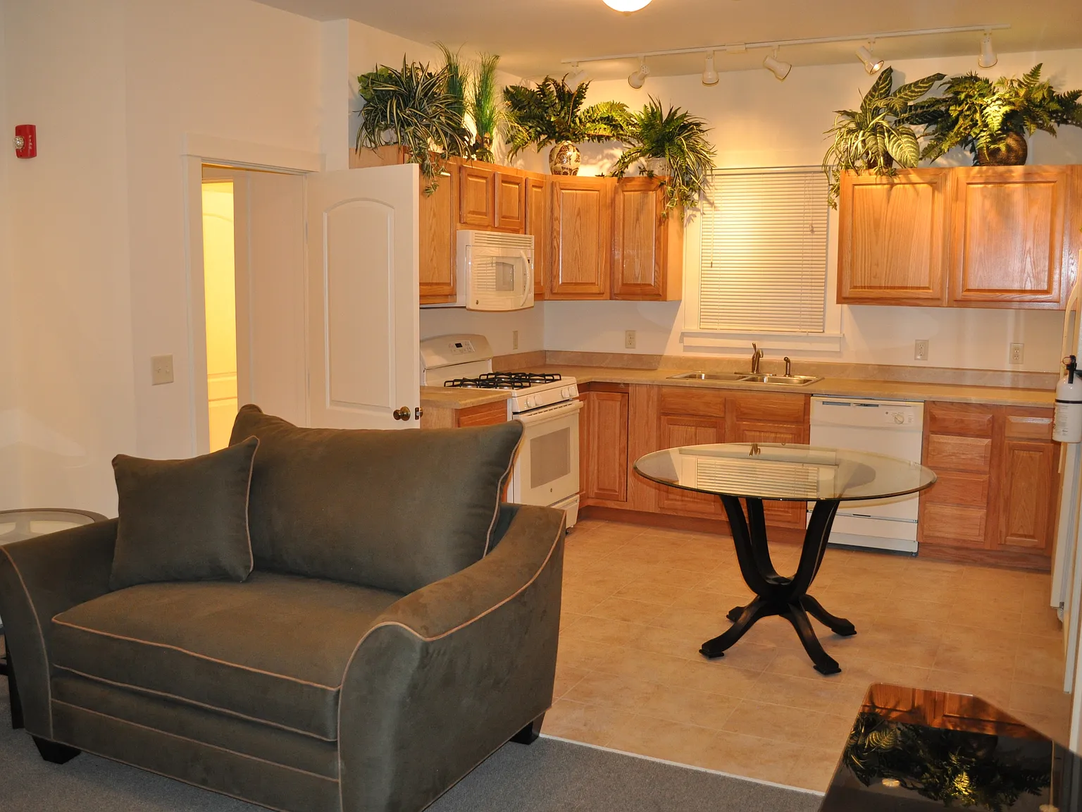 203 Williams Street - 3 — Photo 3