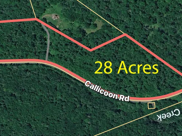 0 Callicoon Rd, Damascus, PA 18415
